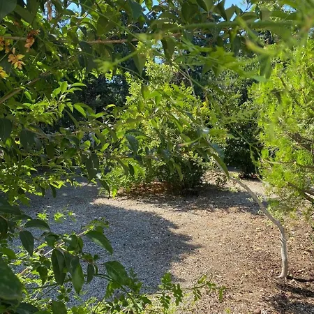 Summerhouse Marianna * Ixia (Rhodes)